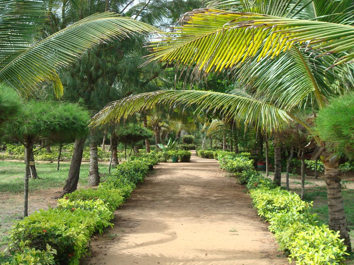 Hotel Village Vacances Awale Plage Grand-Popo 外观 照片