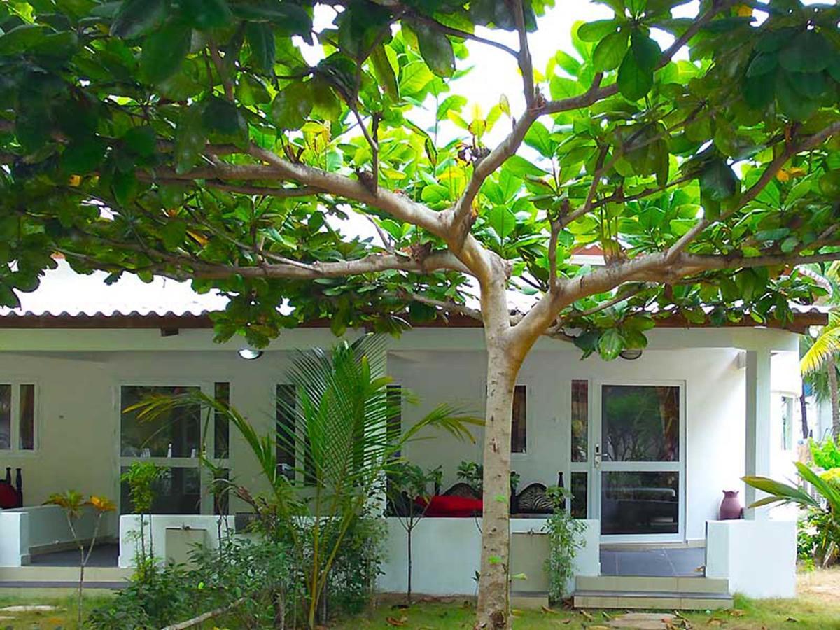 Hotel Village Vacances Awale Plage Grand-Popo 外观 照片