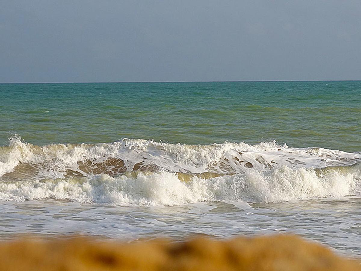 Hotel Village Vacances Awale Plage Grand-Popo 外观 照片